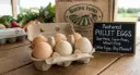Dozen Eggs (pullet)