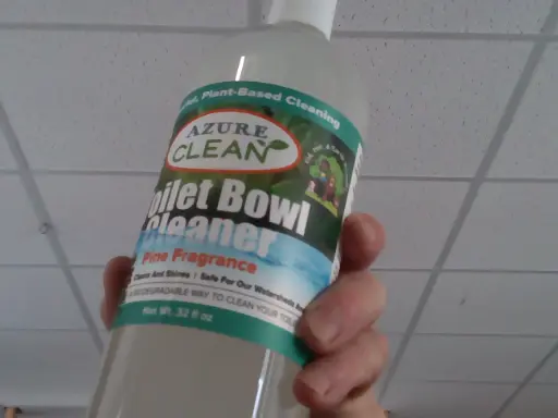 Toilet cleaner pine